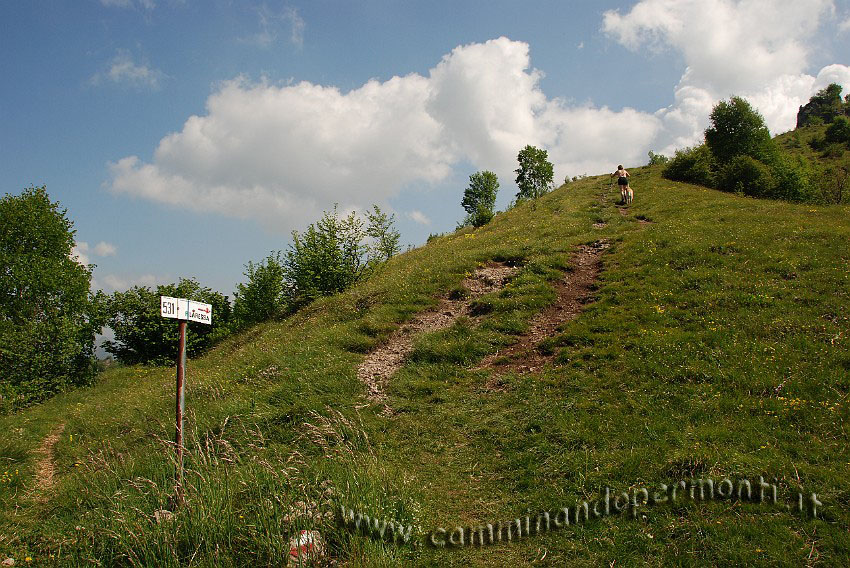 09 04223 Salita per il Monte Filaressa.JPG